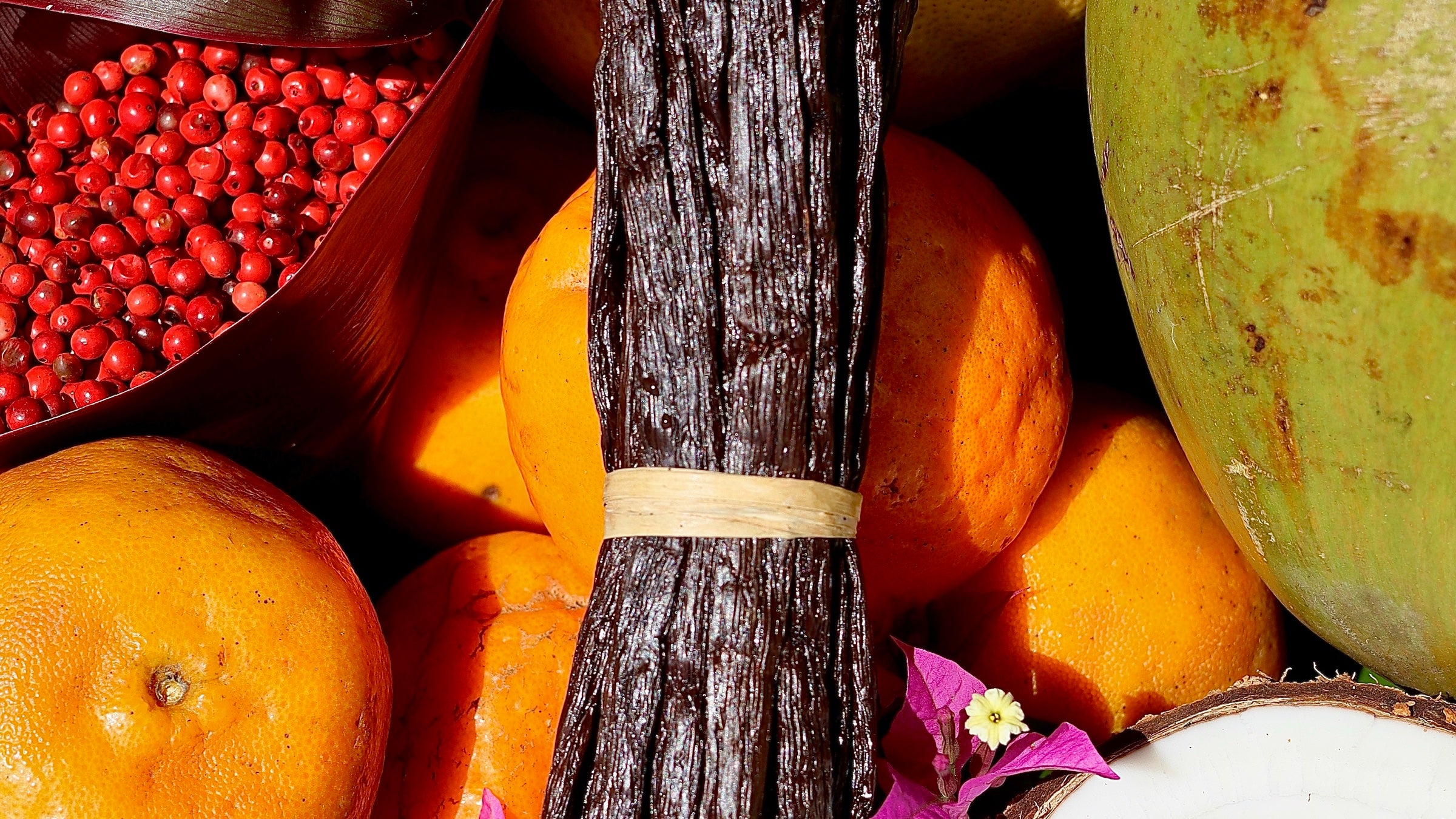 Fagot de vanille Bourbon de Madagascar entouré d'agrumes et de cacao