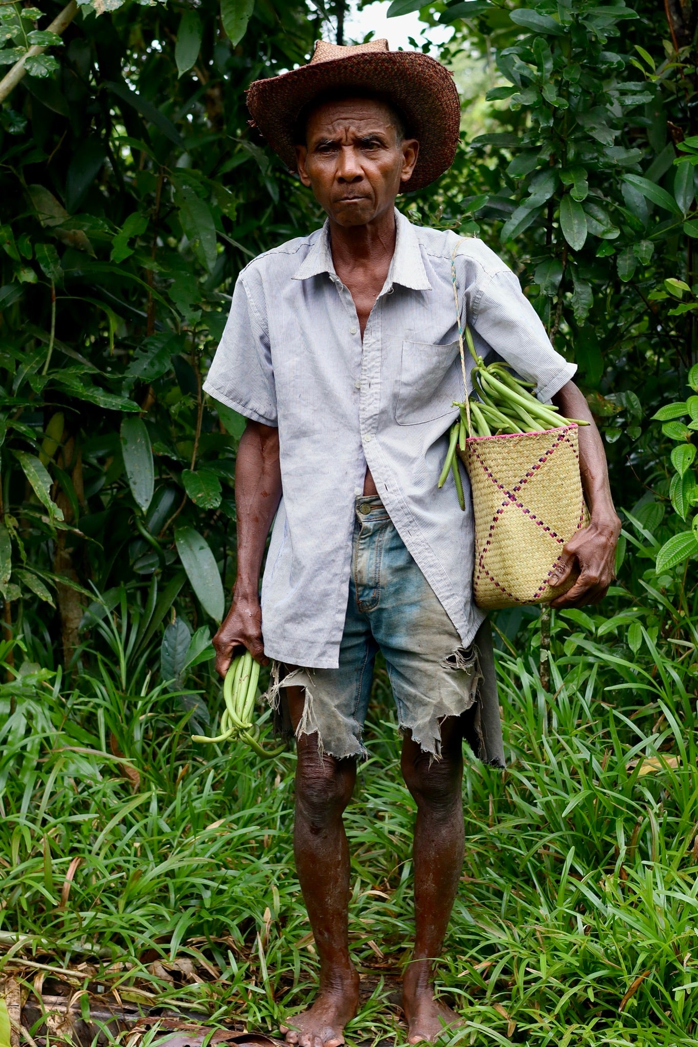 Cultivateur de vanille avec son panier de gousses fraîches